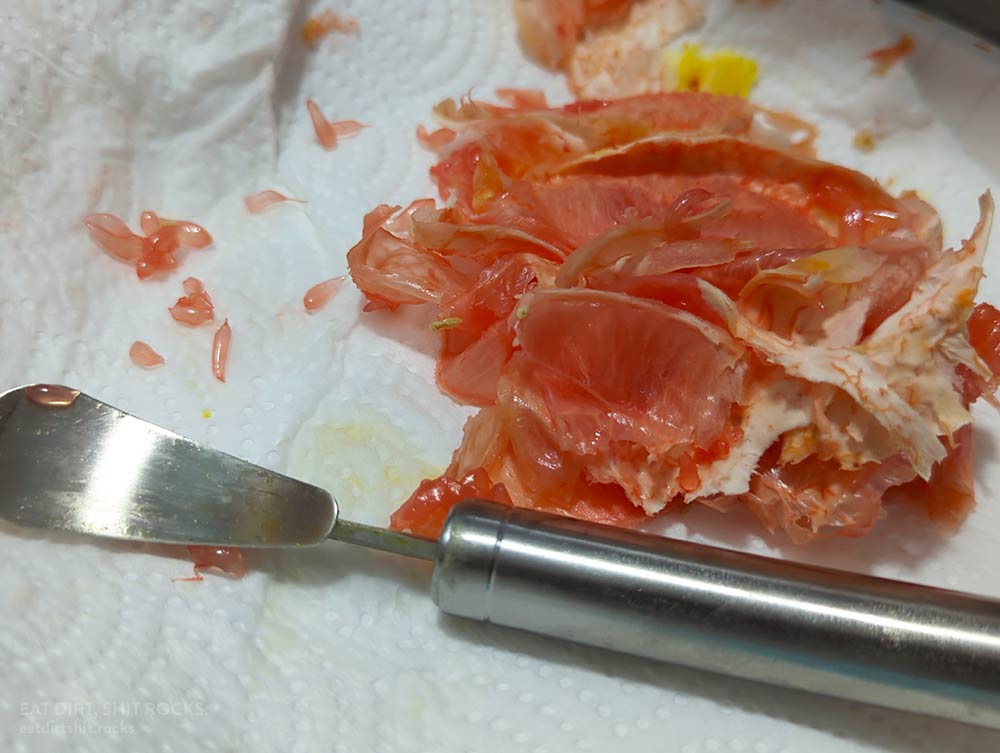 A face-on view of the citrus-peeler assister, with discarded grapefruit segment walls in the background.